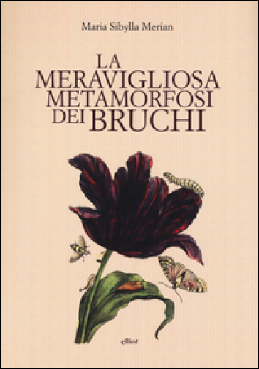 La meravigliosa metamorfosi dei bruchi - M. Sibylla Merian