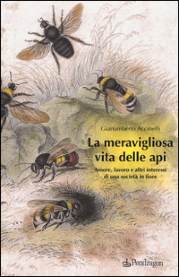 La meravigliosa vita delle api. Amore, lavoro e altri interessi di una società in fiore - Gianumberto Accinelli