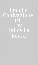 Il miglio. Coltivazione, usi e curiosità