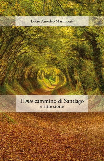 Il mio cammino di santiago e altre storie - Lucio Amedeo Marimonti