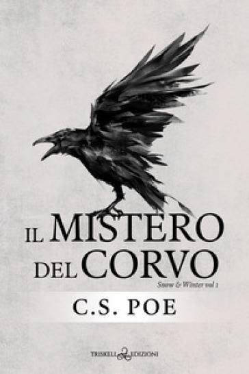 Il mistero del corvo. Snow & Winter. 1. - C. S. Poe