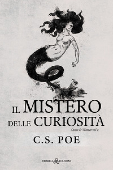 Il mistero delle curiosità. Snow &amp; Winter. Vol. 2 - C. S. Poe