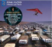 A momentary lapse of reason - 2 Lp