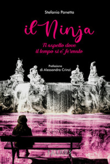 Il ninja. Ti aspetto dove il tempo si è fermato - Stefania Panetta