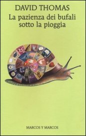 La pazienza dei bufali sotto la pioggia