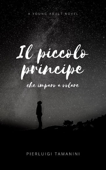 Il piccolo principe che imparò a volare - Pierluigi Tamanini