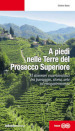 A piedi nelle Terre del Prosecco Superiore. 31 itinerari escursionistici tra paesaggio, storia, arte ed enogastronomia