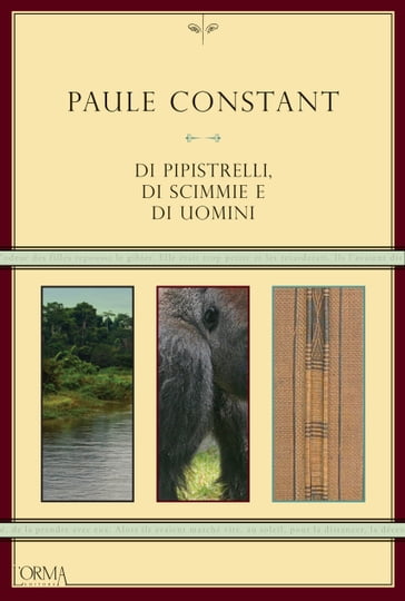Di pipistrelli, di scimmie e di uomini - Paule Constant