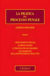 La pratica del processo penale. Volume I