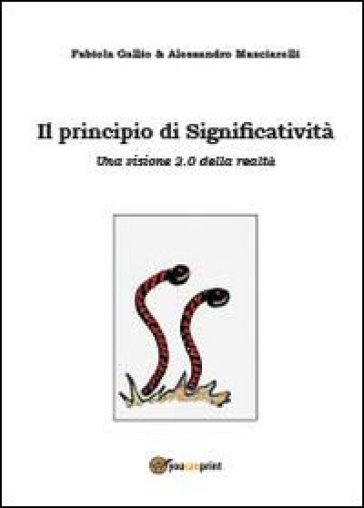 Il principio di significatività - Fabiola Gallio - Alessandro Masciarelli