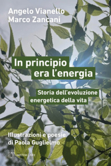 In principio era l'energia. Storia dell'evoluzione energetica della vita - Angelo Vianello - Marco Zancani
