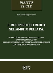 Il recupero dei crediti nell ambito della PA