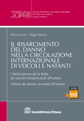 Il risarcimento del danno nella circolazione internazionale di veicoli e natanti