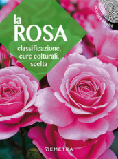 La rosa. Classificazione, cure colturali, scelta