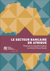 Le secteur bancaire en Afrique: financer la transformation sur fond d incertitude