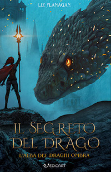 Il segreto del drago. Ediz. illustrata - Liz Flanagan