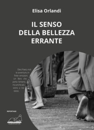 Il senso della bellezza errante - Elisa Orlandi