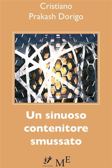 Un sinuoso contenitore smussato - Prakash Dorigo Cristiano