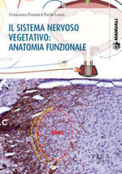 Il sistema nervoso vegetativo: anatomia funzionale