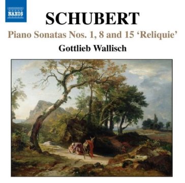 Le sonate per pianoforte incomplete - Franz Schubert