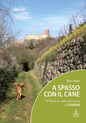 A spasso con il cane. 30 itinerari nella provincia di Verona. Con Carta geografica ripiegata - Silvia Allegri