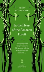 In the Heart of the Amazon Forest