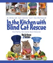 In the Kitchen with Blind Cat Rescue
