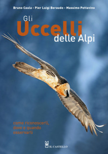 Gli uccelli delle Alpi. Come riconoscerli, dove e quando osservarli. Ediz. illustrata - Bruno Caula - Pier Luigi Beraudo - Massimo Pettavino