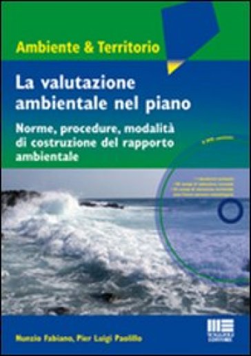 La valutazione ambientale nel piano. Norme, procedure, modalità di costruzione del rapporto ambientale. Con DVD - Nunzio Fabiano - P. Luigi Paolillo