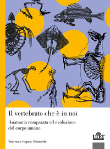 Il vertebrato che è in noi. Anatomia comparata ed evoluzione del corpo umano - Vincenzo Caputo Barucchi