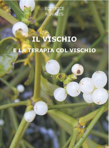 Il vischio e la terapia col vischio - AA.VV. AA.VV