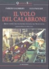 Il volo del calabrone. Breve storia dell economia italiana nel Novecento