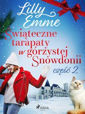 witeczne tarapaty w górzystej Snowdonii - cz 2